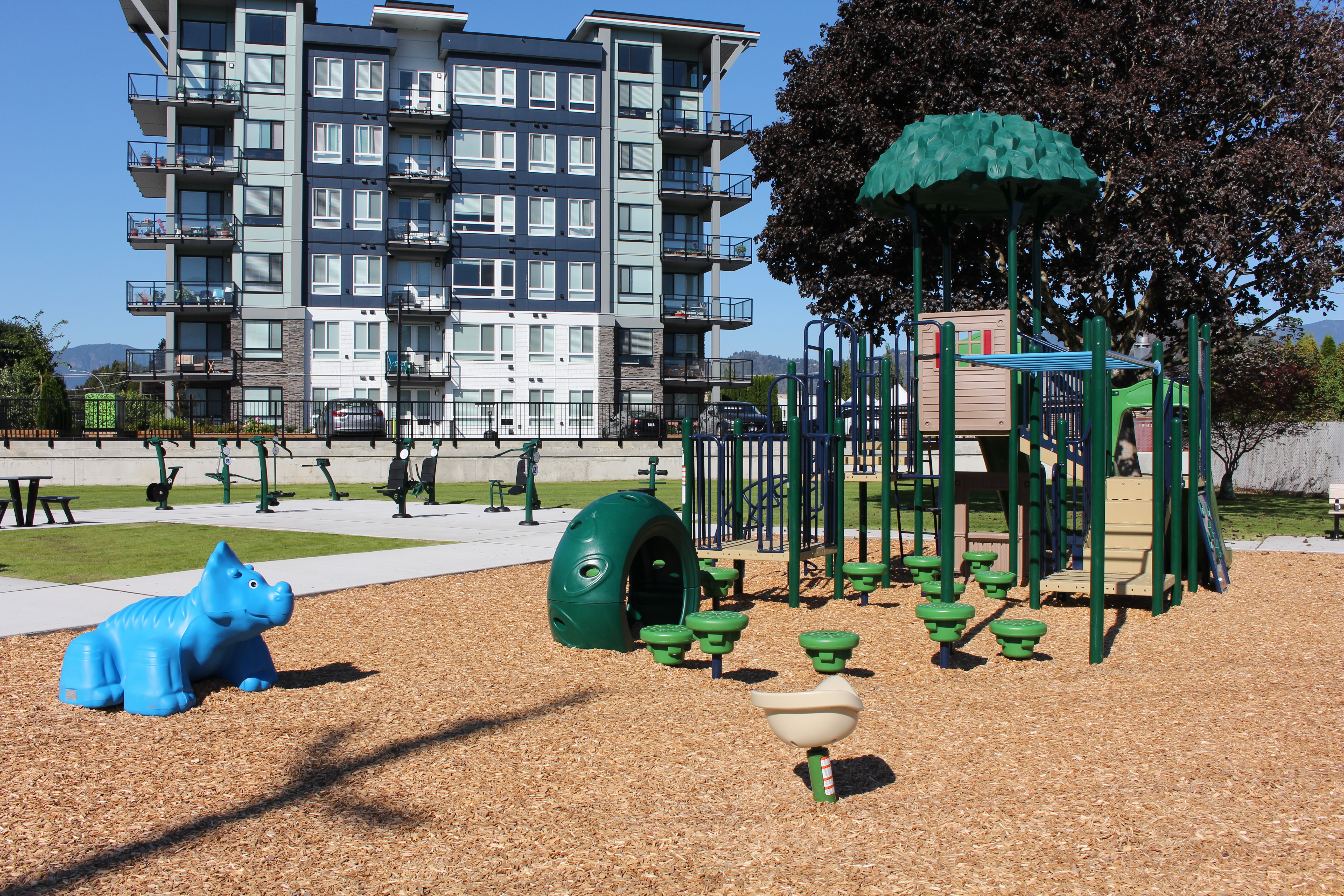 In the foreground is a green and blue play structure, with exercise equipment and a chess table featured behind the play area. 